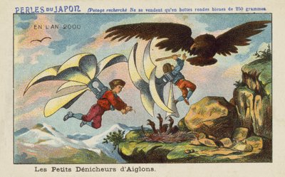 Robbing an eagle